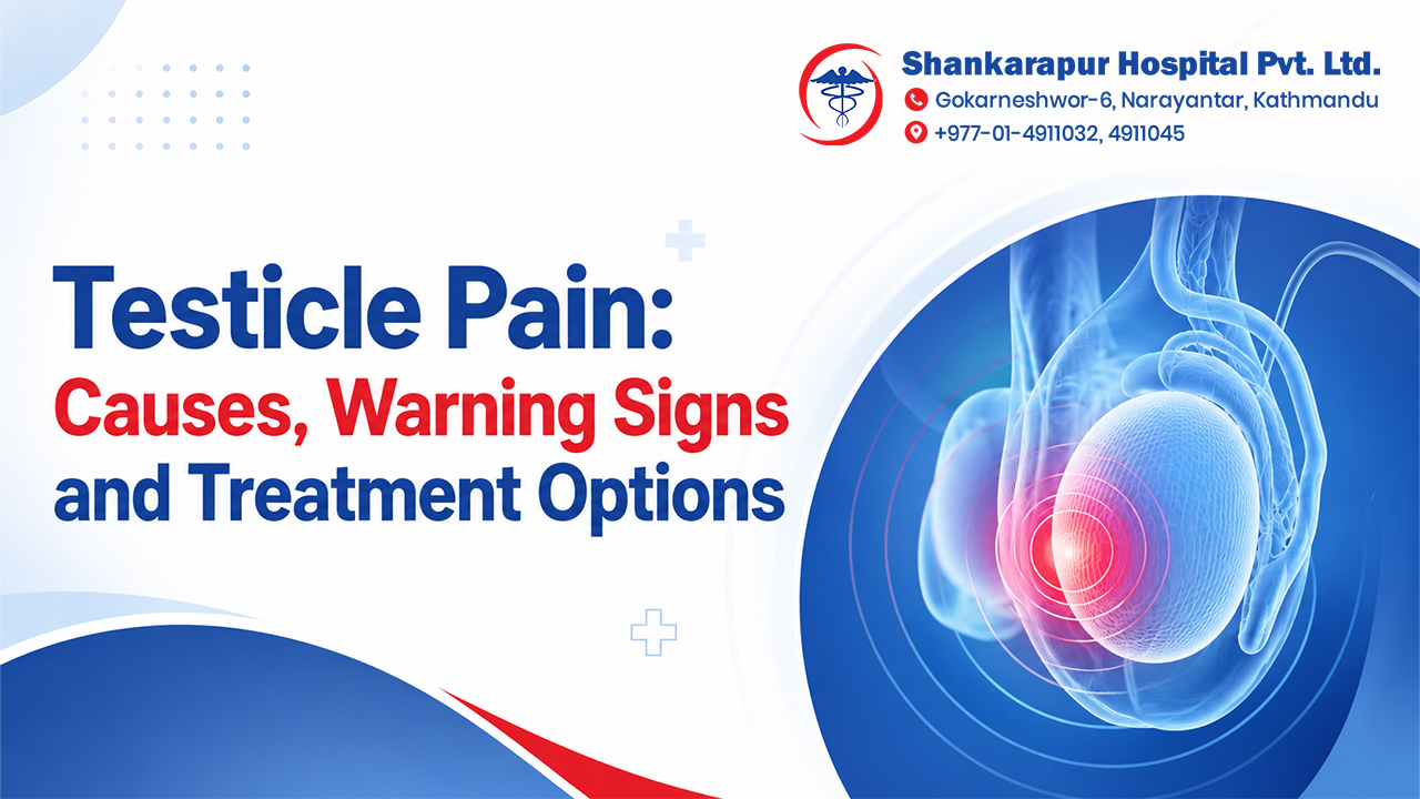 Testicle Pain: Causes, Warning Signs and Treatment Options